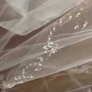 Cathedral length veil